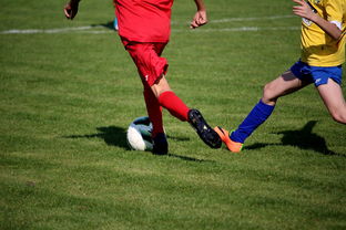 国家队与俱乐部之间协调机制为何不顺畅，国家队比赛和俱乐部比赛冲突